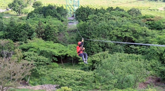 제주 프로그램 3