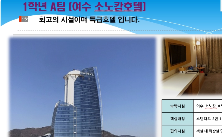 여행 정보
